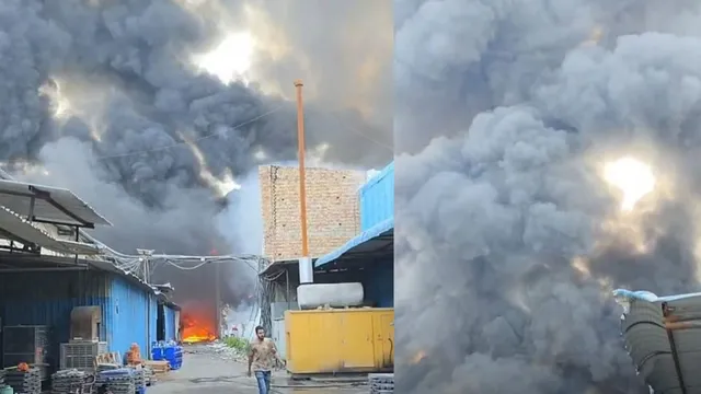 हरियाणा के टोहाना में बैटरी फैक्ट्री में लगी भीषण आग, आसमान में छाया काले धुएं का गुबार; लाखों का सामान खाक

